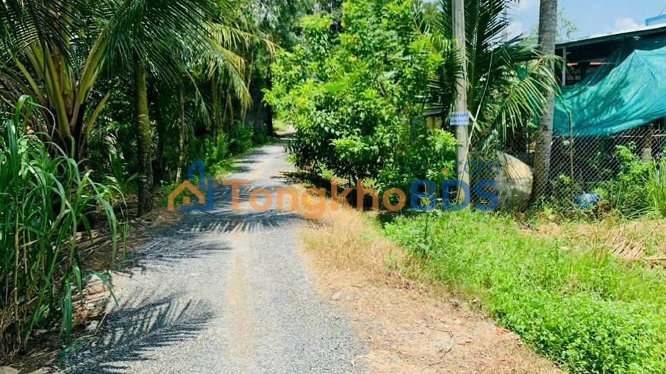 Đất nền Long An Long Hồ 80m² 315 triệu - Sổ đỏ chính chủ