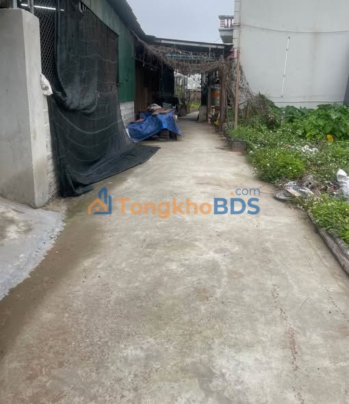 Đất nền Thường Tín 40m² 2,3 tỷ - Đường to ô tô vào tận