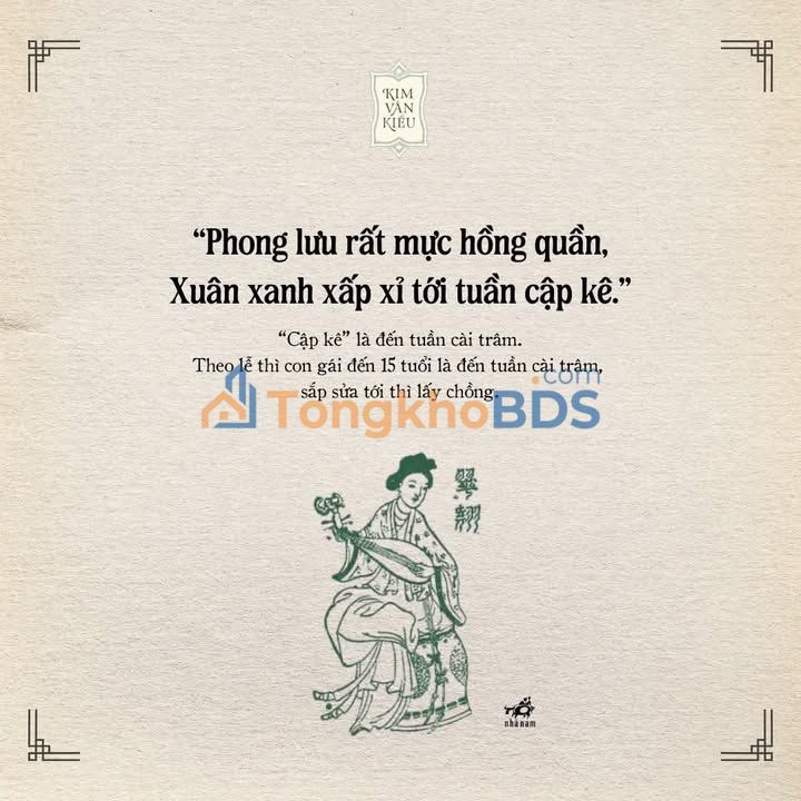 Đất Phú Hải Anh Dũng 800m² - Sổ đỏ chính chủ, ô tô vào thẳng