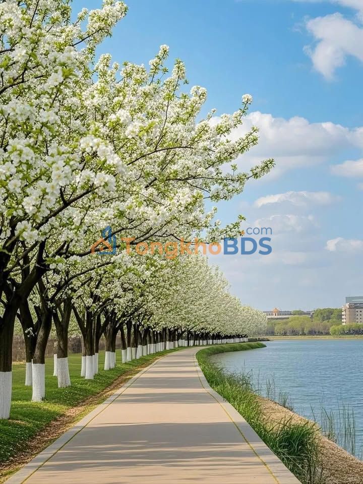 Nhà riêng Quy Nhơn Bùi Xuân Phái 26m² 1.35 tỷ - Chính chủ bán