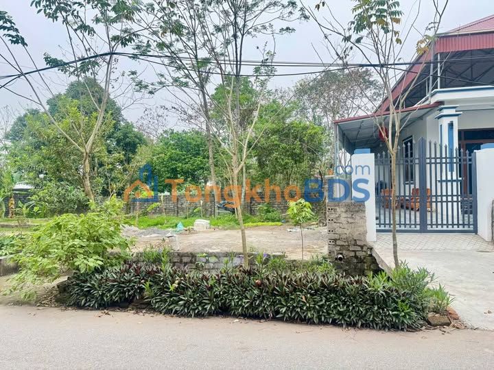 Đất nền Tảo Khê Vân Đình 90m² 2 tỷ - Sổ đỏ chính chủ