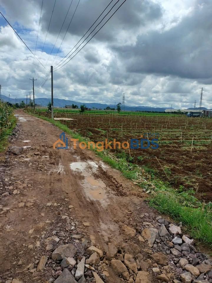 Đất Phú Hội Đức Trọng 2,000m² 2.15 tỷ - Đường to ô tô