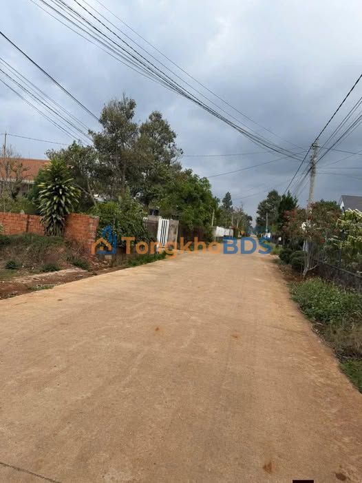 Đất Cư Xá Liên Hiệp Phú Hội 1000m² 4.2 tỷ - Đường to ô tô