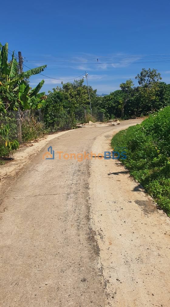 Đất nền Hòa Ninh Phú Hội 84m² 255tr - Sổ đỏ chính chủ