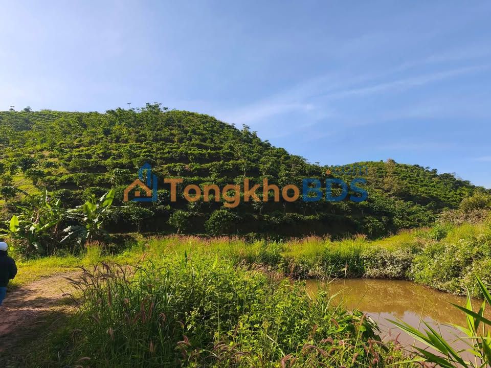 Đất Vườn 11000m² Bảo Lâm, Lâm Đồng - Sổ Hồng Riêng, Giá 3.2 Tỷ