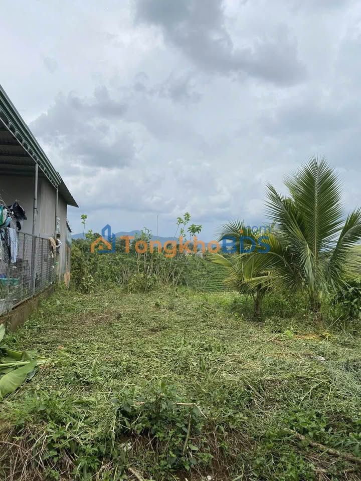 Đất nền Lộc Sơn Bảo Lộc 600m² 700tr - Đường to ô tô