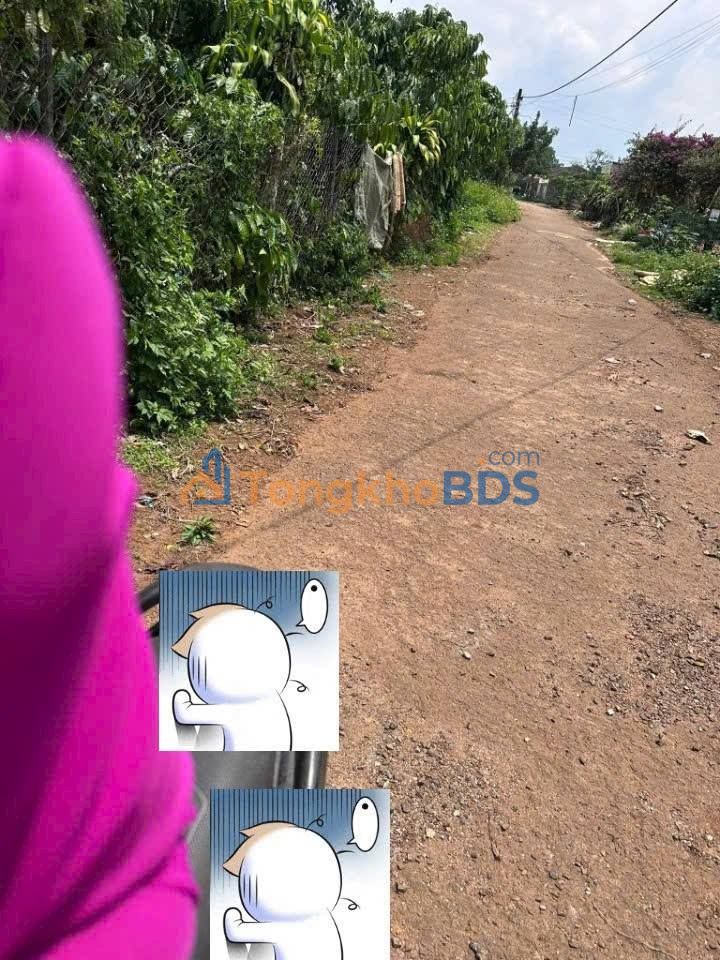 Đất Lộc An Bảo Lộc 16000m² giá 2 tỷ - Đường to ô tô