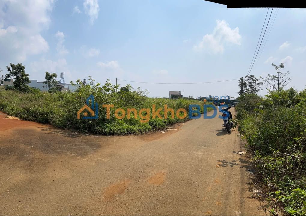 Đất nền Hẻm 169 Nguyễn Đình Chiểu 100m² 1.25 tỷ - Sổ đỏ chính chủ