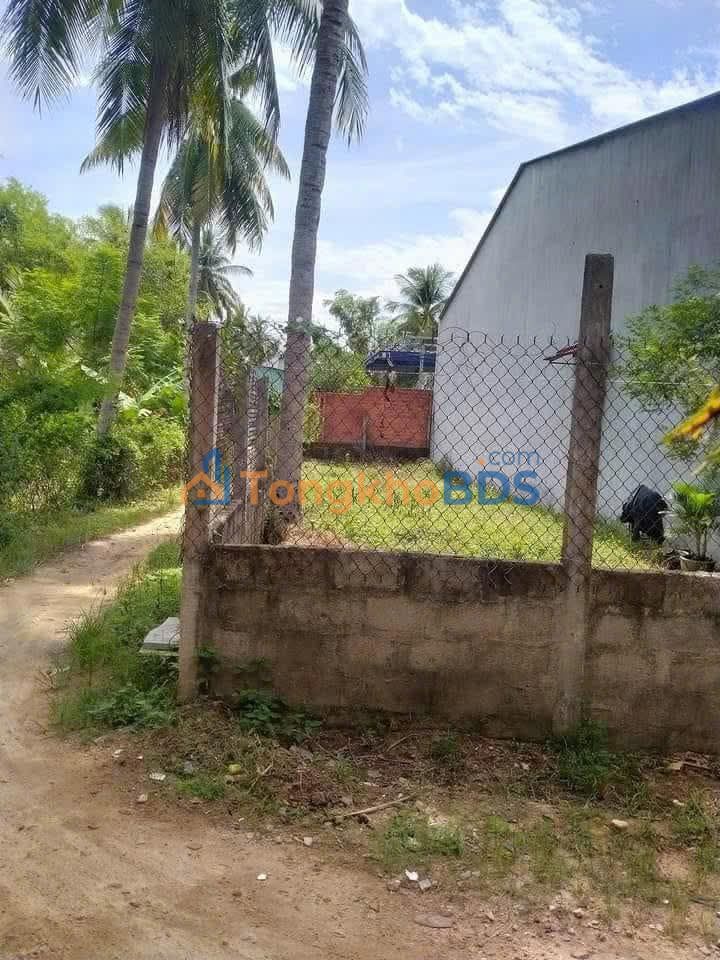 Đất nền Tam Quan Nam 118m² 600 triệu - Đất thổ cư 100%