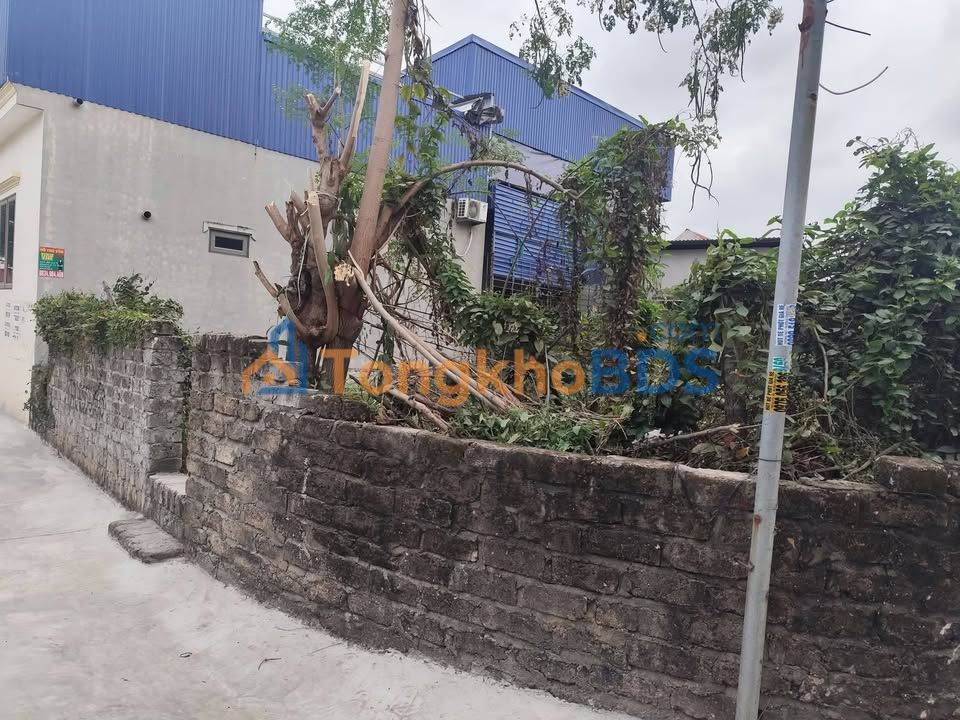 Đất nền Thôn 9 Ngũ Lão 139m² 2.1 tỷ - Sổ đỏ chính chủ