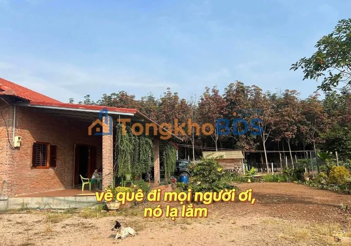 Đất nền Becamex Phú Hòa 2.334m² 390 triệu - Đất thổ cư 100%