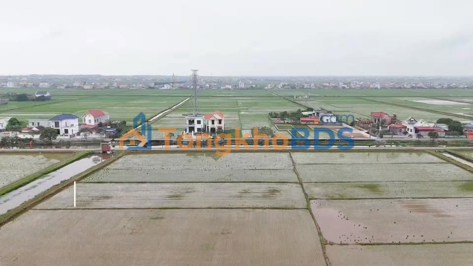 Đất Giao Hải Giao Thủy 125m² 1.768 tỷ - Sổ đỏ chính chủ