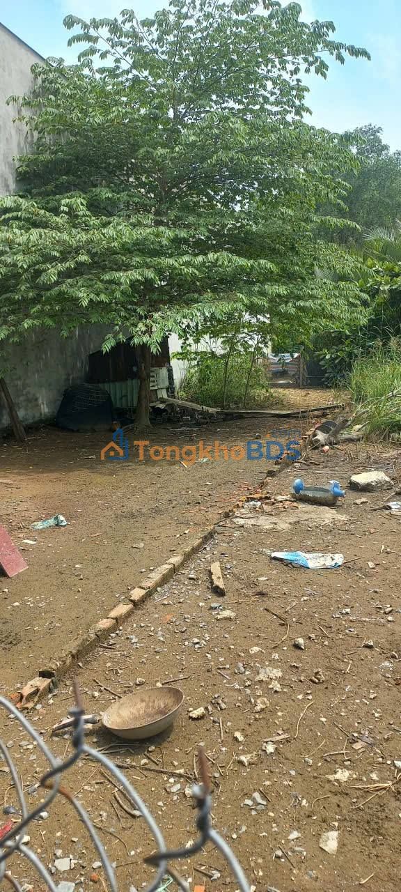 Đất nền Long Hậu 108m² 1.25 tỷ - Sổ đỏ chính chủ