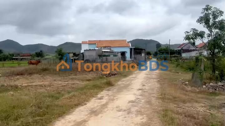 Đất nền Ninh Xuân Ninh Hòa 2.500m² - Sổ đỏ chính chủ