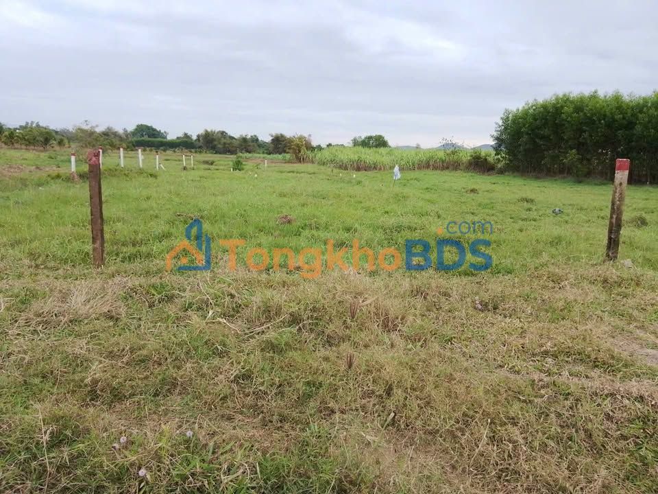 Land Ninh Xuân 240m² 199 triệu - Sổ đỏ chính chủ