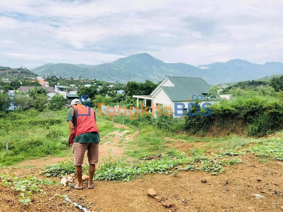 Đất Vĩnh Phương Nha Trang 6.803m² 2.9 tỷ - Sổ hồng ONT