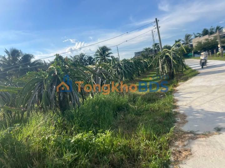 Đất nền Phan Thiết Ngô Đức Tốn 1.700m² 1.95 tỷ - Thổ cư 100%