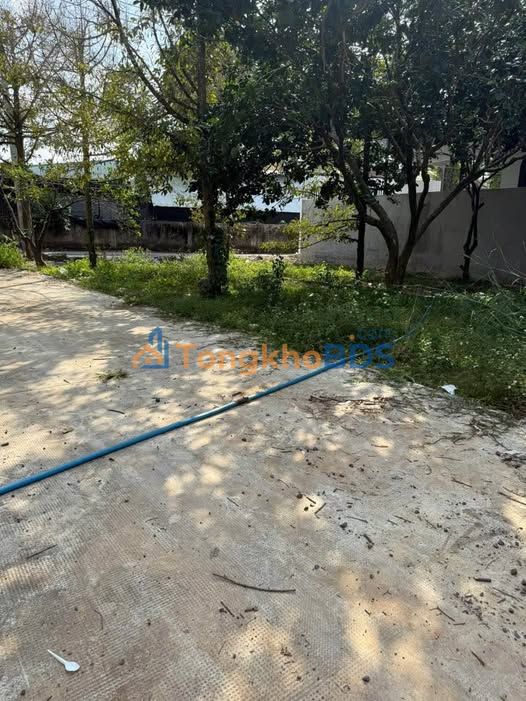 Đất nền Bình Lộc, Trảng Bom 210m² - Mặt tiền đường nhựa, giá 600 triệu