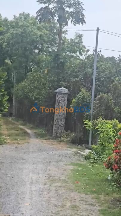 Đất vườn Bạch Đằng Tân Uyên 1.173m² 5.2785 tỷ - Sổ đỏ chính chủ