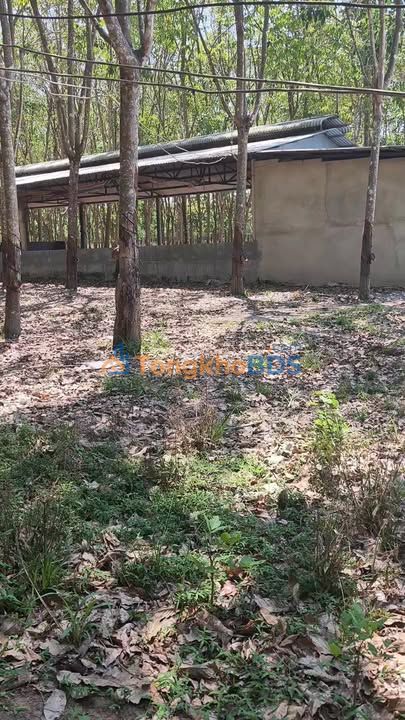 Farm Minh Thạnh 20,000m² 5 tỷ - Đầu tư dài hạn