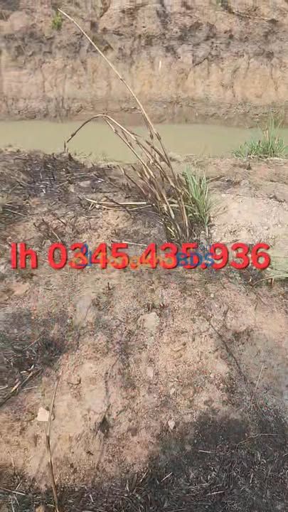 Đất nền Ia Lâu Gia Lai 5ha 1 tỷ - Sổ đỏ chính chủ bán gấp