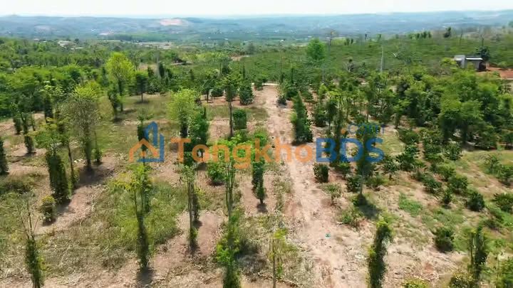 Đất nền Đắk Gằn Đắk Mil 360m² 180 triệu - Sổ đỏ chính chủ