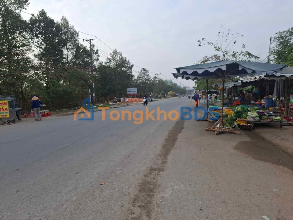 Đất nền Trảng Bàng 60m² - Gần KCN, Sổ Thổ Cư, Giá Đầu Tư 2.2 Tỷ