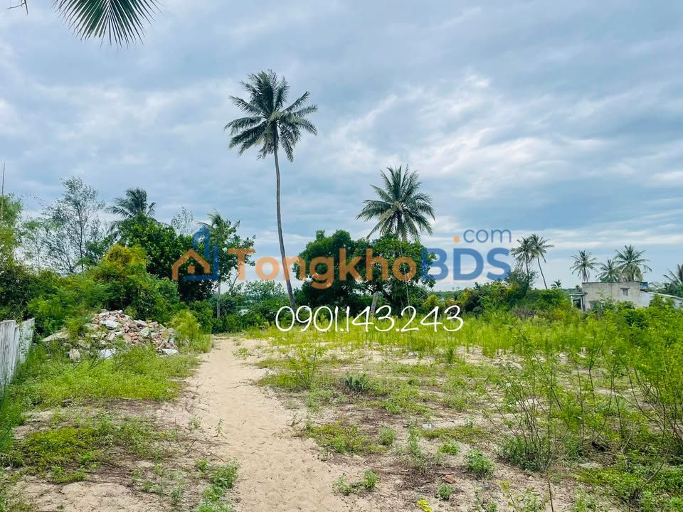 Đất Nền 1030m² Phường Tam Tiến, Tam Kỳ - View Sông, Gần Biển, Đường Oto