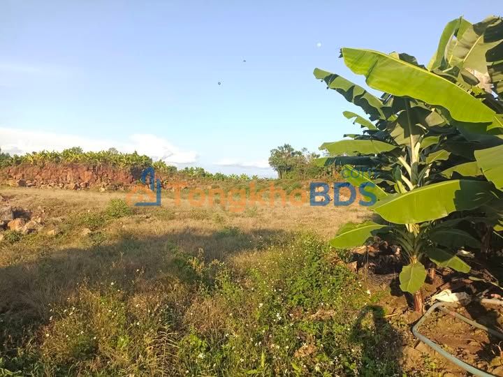 Đất nền Bàu Hàm Trảng Bom 11.800m² 7.5 tỷ - Tiềm năng tăng giá