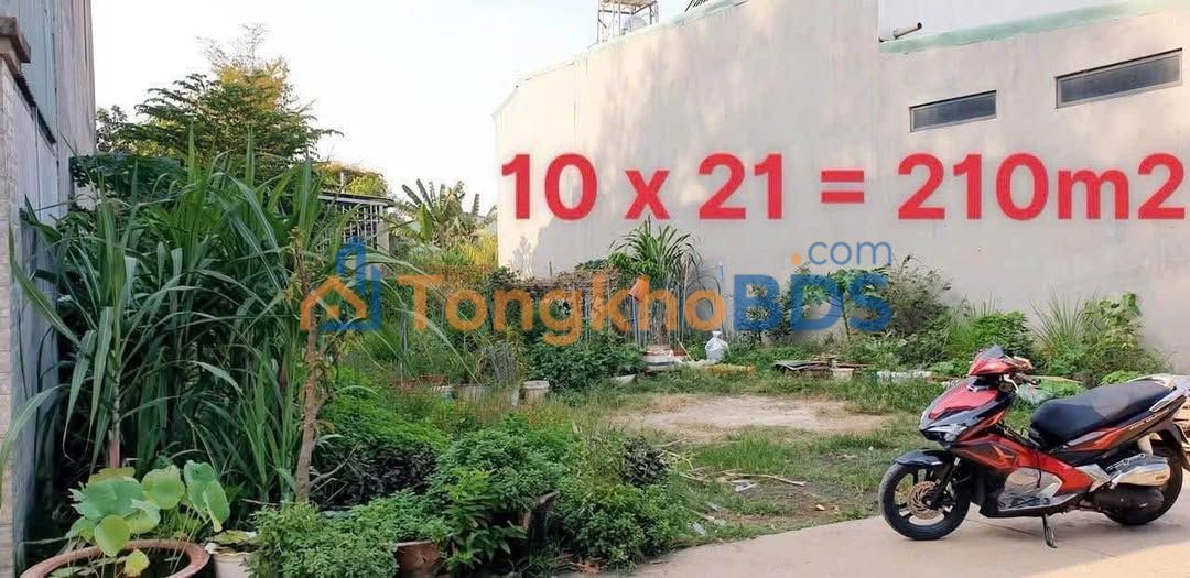 Đất Nền Quảng Tiến 210m² - Sổ Riêng Thổ Cư, Ô Tô Thoải Mái