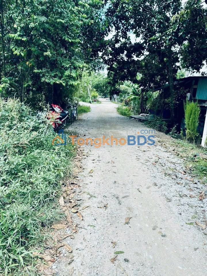 Đất nền Vĩnh Hanh 134m² 400 triệu - Hạ tầng hoàn thiện