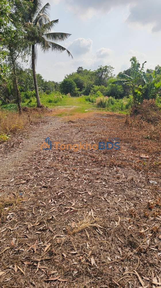 Đất nền Đức Hòa Hựu Thạnh 190m²/850 triệu - Đất thổ cư 100%