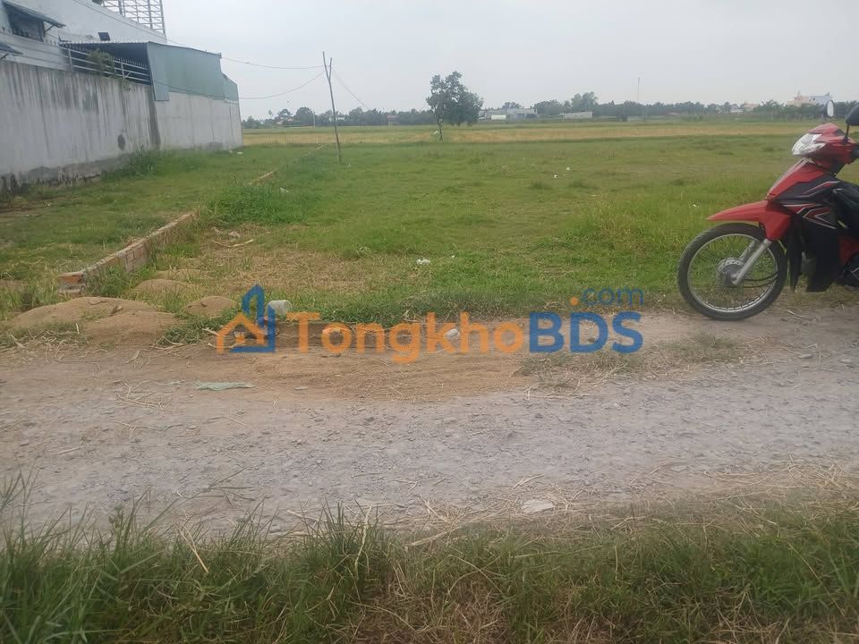 Đất Mỹ Hạnh Nam 211m² 1,85 tỷ - Sổ đỏ chính chủ