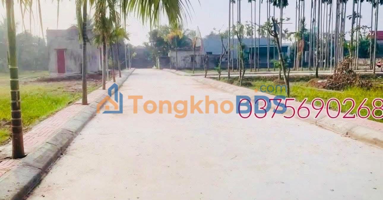 Đất nền Nga Điền Thanh Hóa 225m² gần TL40 - Đường to ô tô