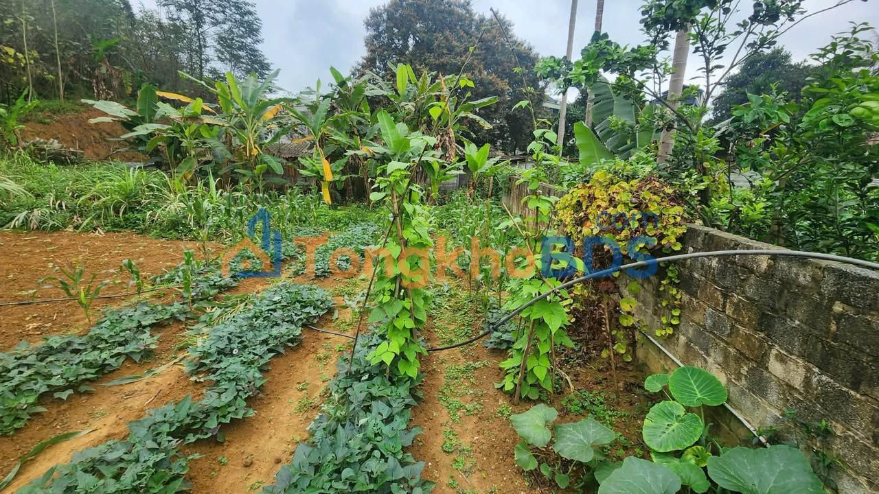 Đất nền Xuân Giao Lào Cai 500m² 320 triệu - Xây dựng tự do