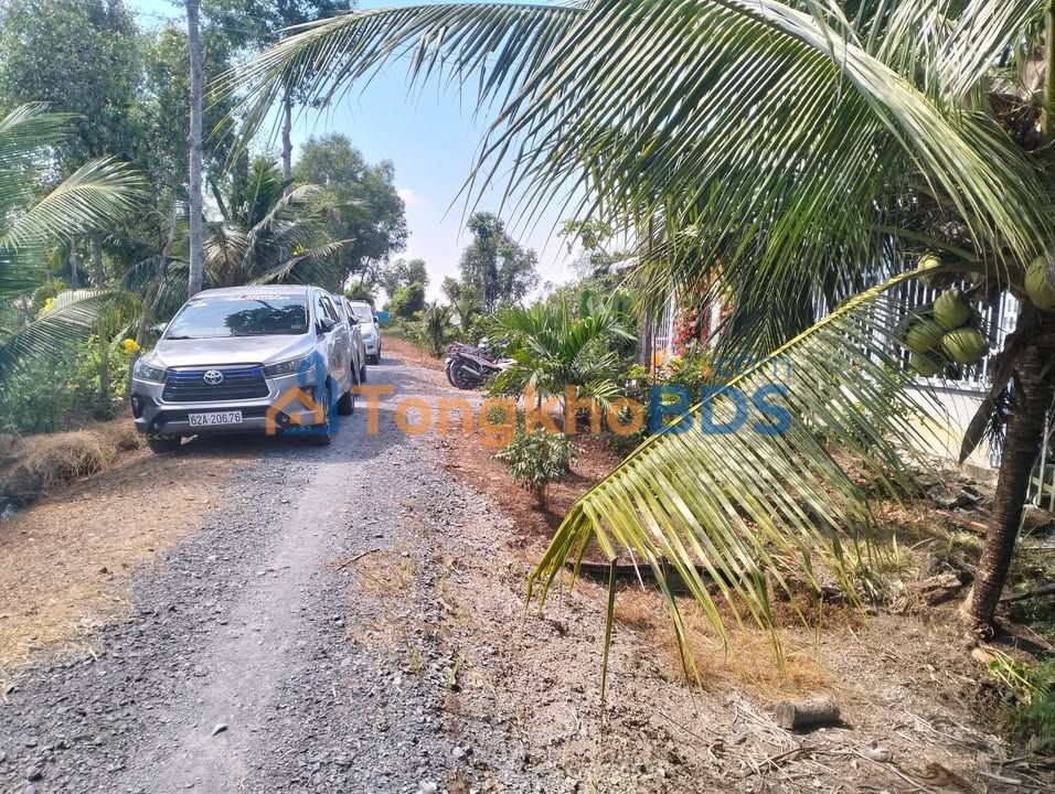 Bán Đất 1500m² Long An - 1.4 Tỷ, Có Thổ Cư, Sổ Hồng Sẵn Sàng