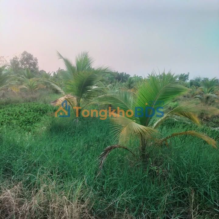 Đất Nguyễn Thị Truyện Tân Trụ 3.493m² 3.14 tỷ - Sổ đỏ chính chủ