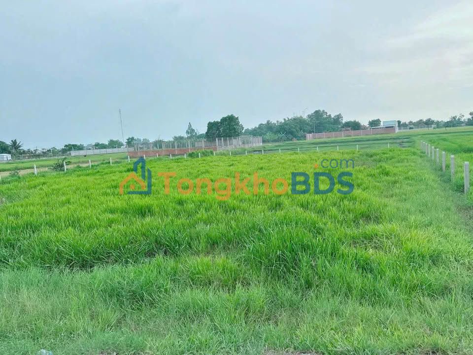 Đất nền Hòa Khánh Đông 240m² 1.14 tỷ - Pháp lý rõ ràng