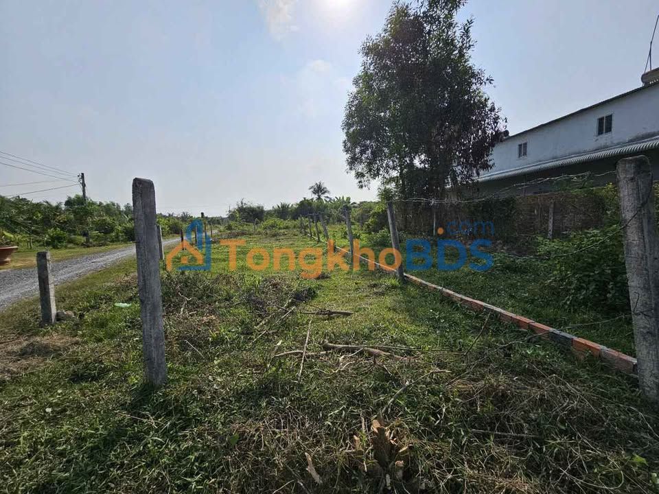 Đất nền Phước Thạnh Tây Ninh 185m² 580 triệu - Tiềm năng tăng giá