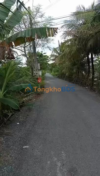 Đất nền Mỹ Lộc Long An 1000m² 2.8 tỷ - Sổ đỏ chính chủ