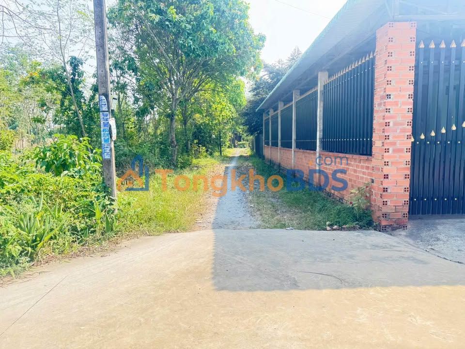 Đất vườn Lộc Chánh Lộc Giang 350m² 450 triệu - Sổ hồng rõ ràng