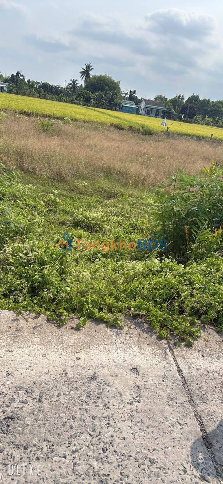 Đất Nhị Thành Thủ Thừa 125m² 499 triệu - Sổ đỏ chính chủ