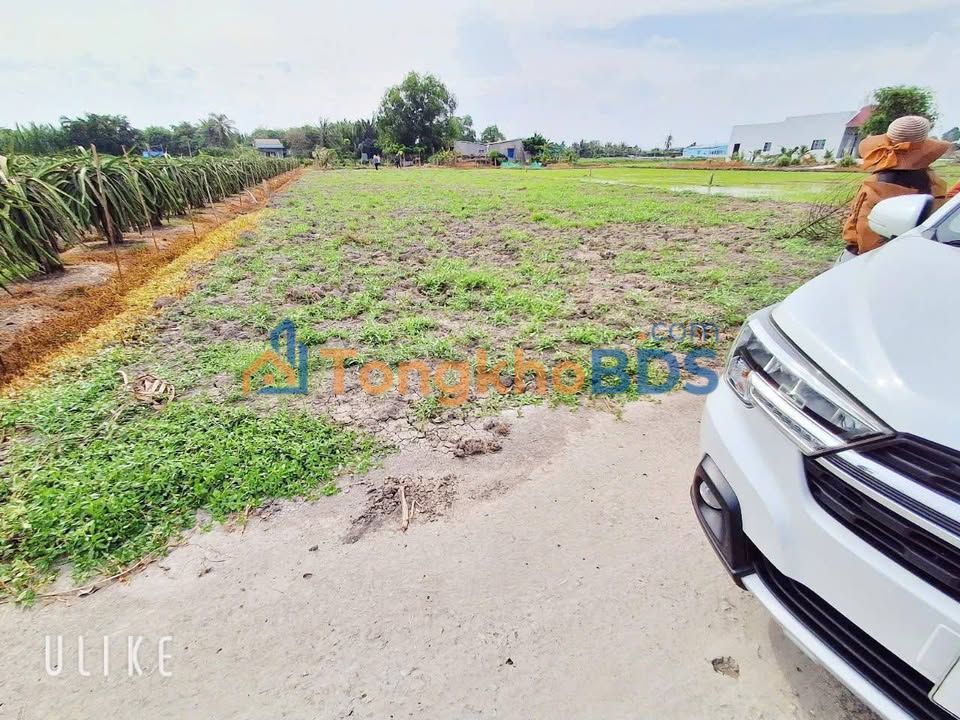 Đất vườn Đức Tân Long An 504m² giá 950 triệu - Sổ đỏ chính chủ