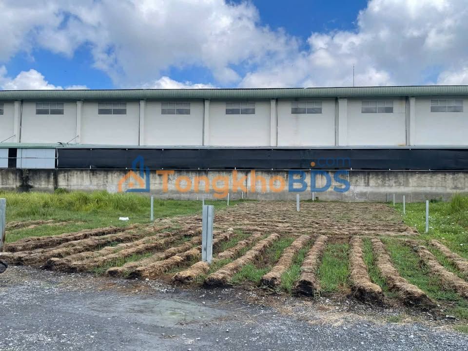 Đất thổ cư Mỹ Yên Long An 385m² 3.4 tỷ - Đất thổ cư 100%