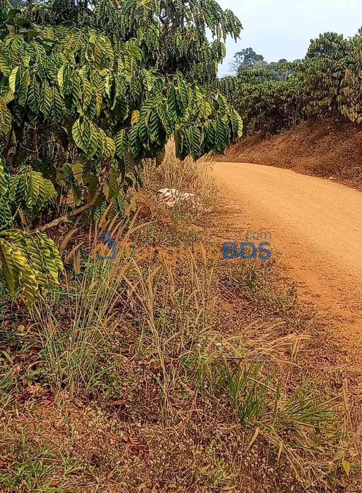 Đất nền Đinh Trang Thượng 2.22ha giá 18.16 tỷ - Đường to ô tô