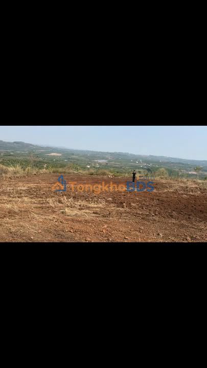 Đất vườn Đắk R'La Đắk Mil 1,6ha 880tr - Sinh thái xanh