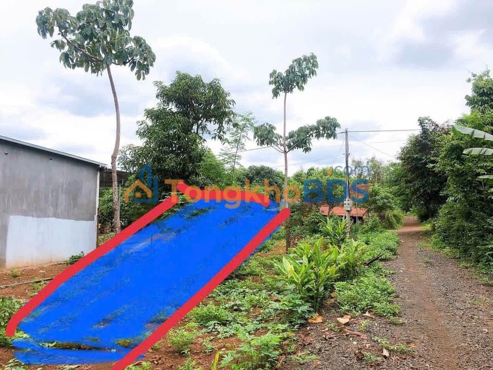 Đất Cư ÊBur Buôn Ma Thuột 142m² 570 triệu - Đường nhựa ô tô