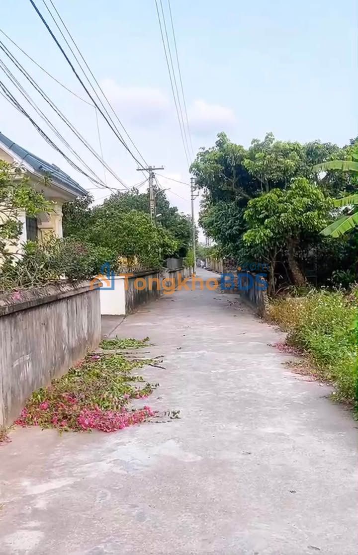 Đất Xã Hồng An Hưng Hà Thái Bình 95m² giá 9xx triệu - Đường to ô tô