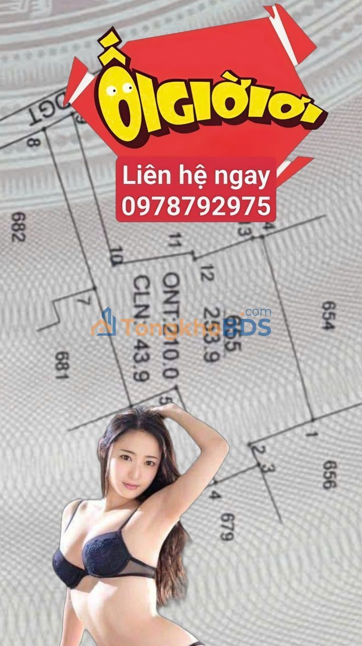 Đất nền Vũ Ninh Kiến Xương 254m² 700-799 triệu - Xây tự do