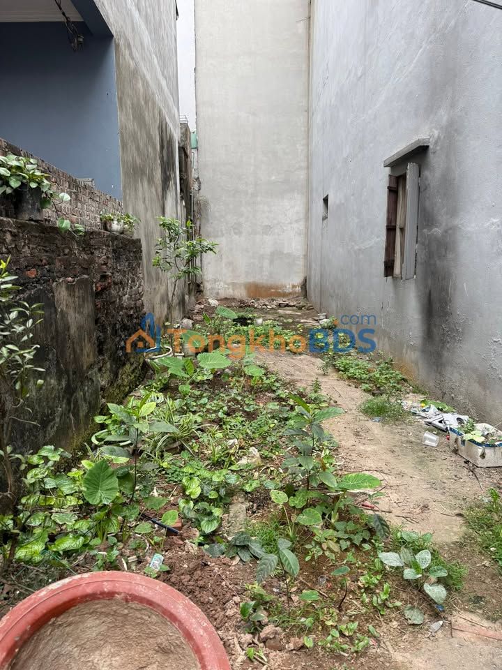 Đất nền Tam Trinh Hoàng Mai 60m² 8 tỷ - Sổ đỏ chính chủ